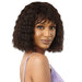 RASHINA | Outre Mytresses Purple Label Human Hair Full Wig | Hair to Beauty.