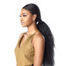 TASIA SLEEK PONYTAIL | Cloud9 What Lace? Synthetic 13X4 360 Swiss Lace Part Wig | Hair to Beauty.