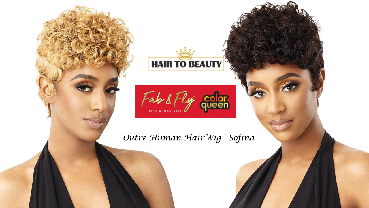 Hair to Beauty Human Hair Wig (SOFINA) - Hair to Beauty Quick Review
