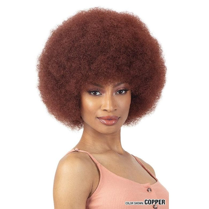 AFRO WIG MEDIUM - FreeTress Equal Synthetic Wig