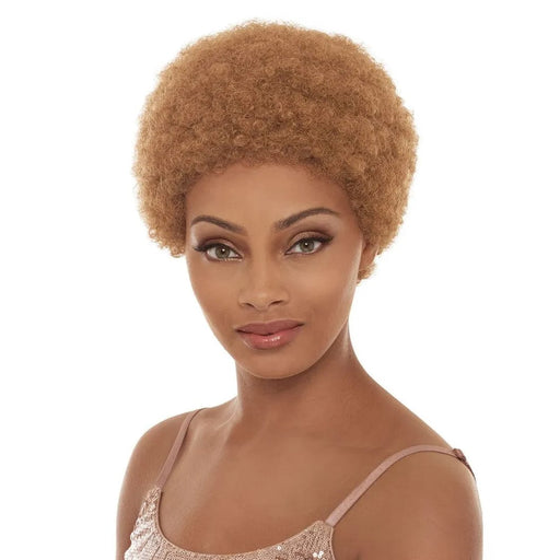 AFRO ROSEY | Janet Collection Synthetic Wig