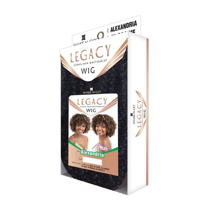 ALEXANDRIA - Shake N Go Legacy Human Hair Blend Wig