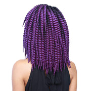 BOMBA SKINNY TWIST 3PC | Synthetic Braid | Hair to Beauty.
