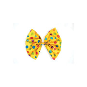 W101 RAINBOW AFRO | Wiggie Synthetic Wig | Hair to Beauty.